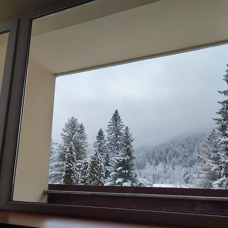 Hotel Ciucas Tusnádfürdő Kültér fotó