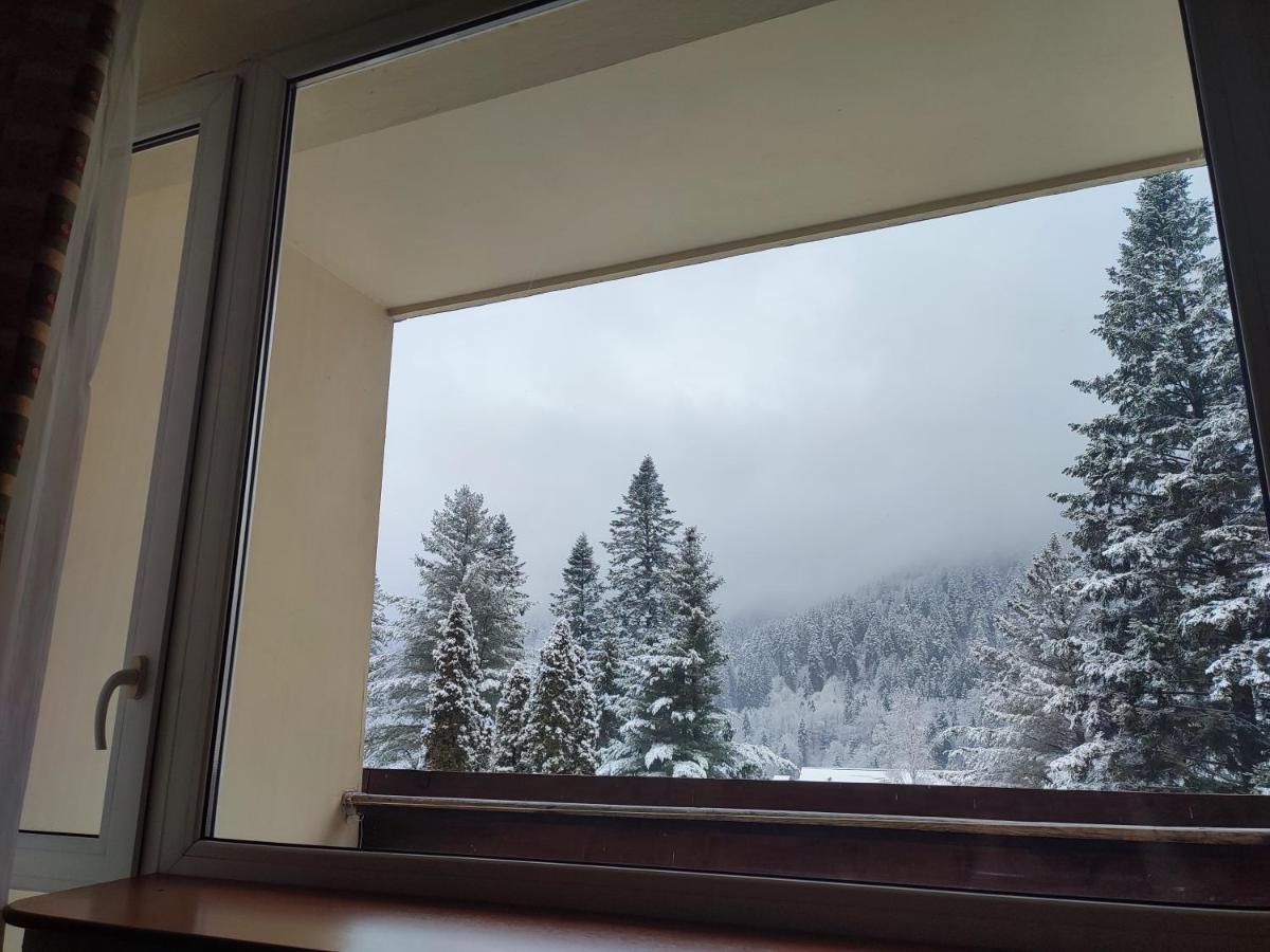 Hotel Ciucas Tusnádfürdő Kültér fotó